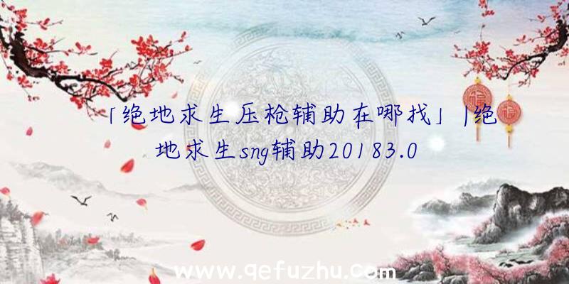 「绝地求生压枪辅助在哪找」|绝地求生sng辅助20183.09